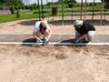 С 02.06.2025 по 06.06.2025 прошла трудовая практика, общественно полезный труд для учащихся 5-8 классов.
