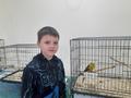 Выставка «Мир больших попугаев»
