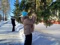 Птичья столовая открыта!