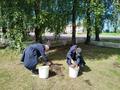 11-й день, День творчества