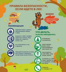 Правила безопасности в лесу