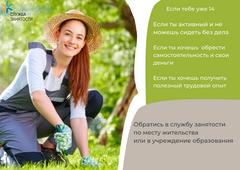 О временной трудовой занятости учащихся