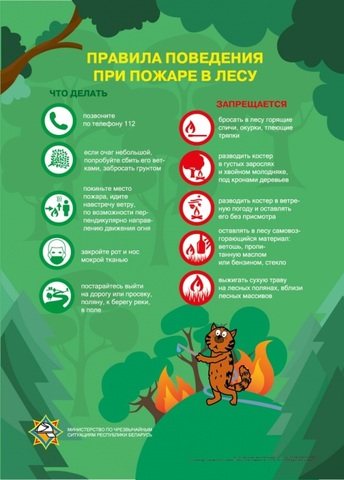 Лесные и торфяные пожары. 