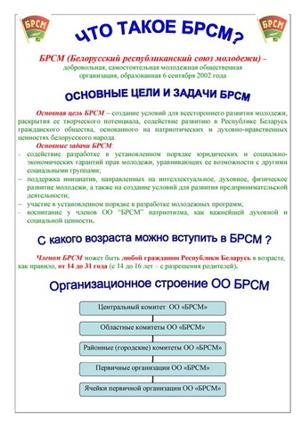 Деятельность БРСМ